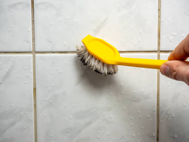 Best White Mold Remediation in West New York, NJ