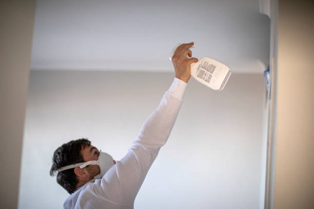 Best White Mold Remediation in West New York, NJ