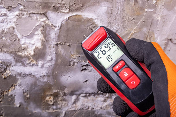 Best Residential Mold Remediation in West New York, NJ