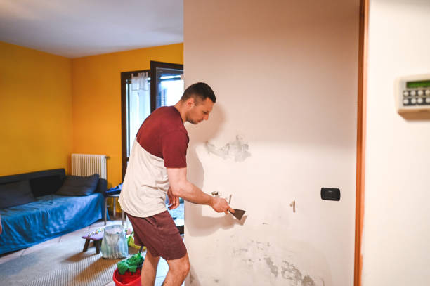 Best Kitchen Mold Remediation in West New York, NJ