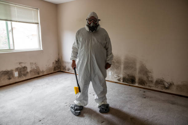 Best Industrial Mold Remediation in West New York, NJ